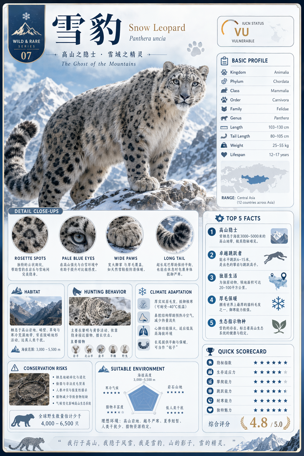 GPT-Image-2 Case · Modular Encyclopedia Infographic Card